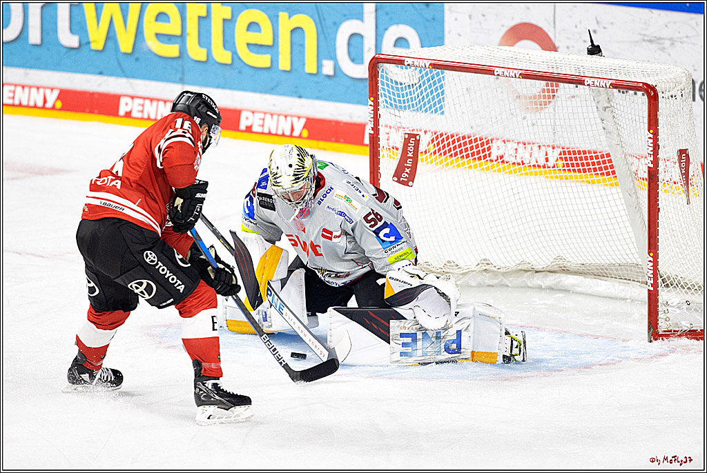 PENNY DEL;  Kölner Haie - Fischtown Pinguins; Köln, 04.10.2022